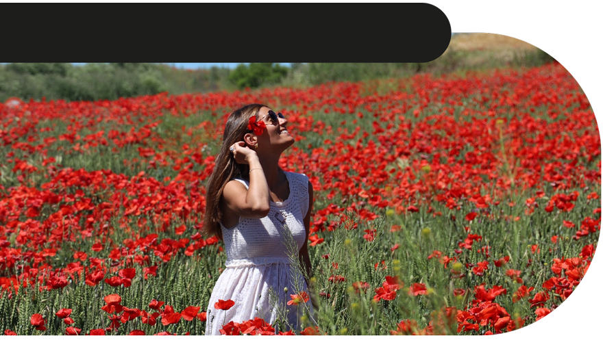 spot_img